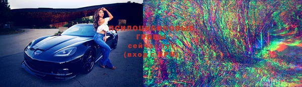 ешки Осинники